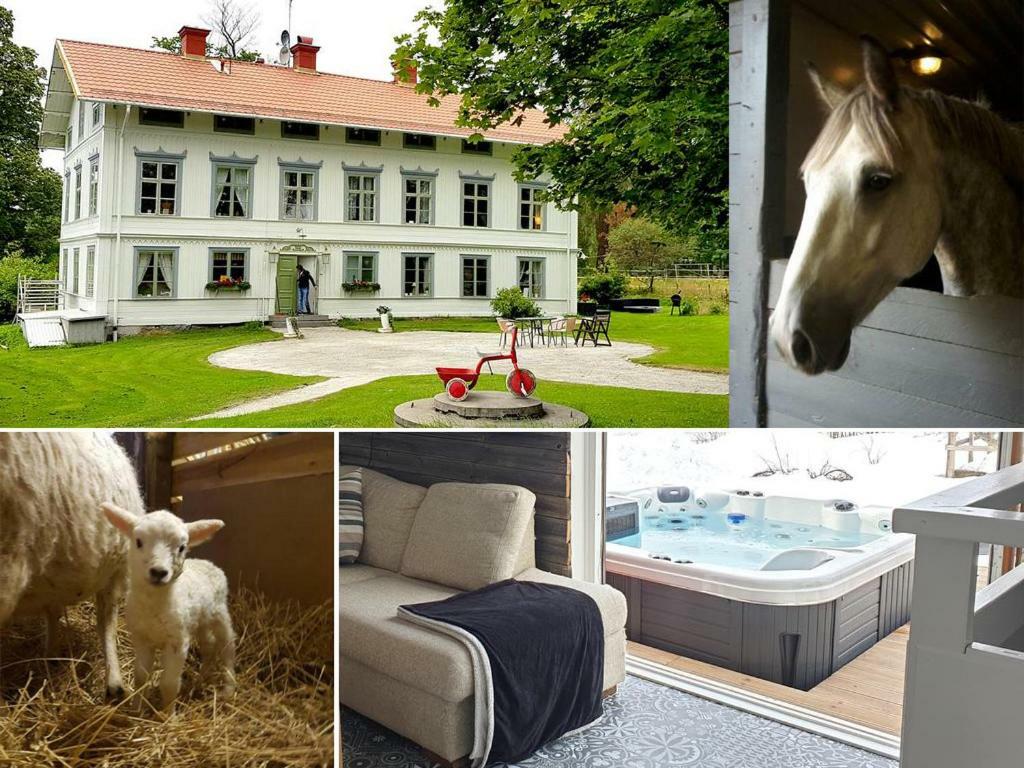 Myskje Gard Gastgiveri Soderala Ngoại thất bức ảnh